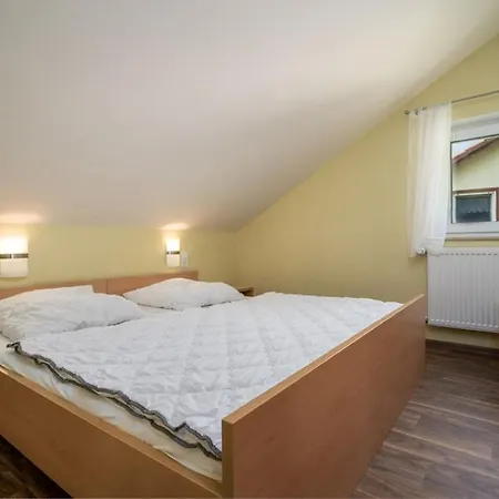Wald Und 31b Dargun