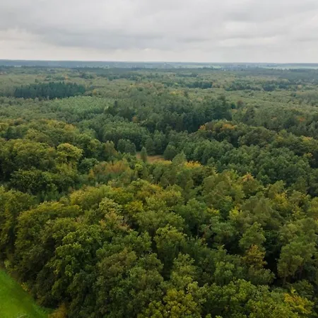 Appartamento Wald Und 31b *